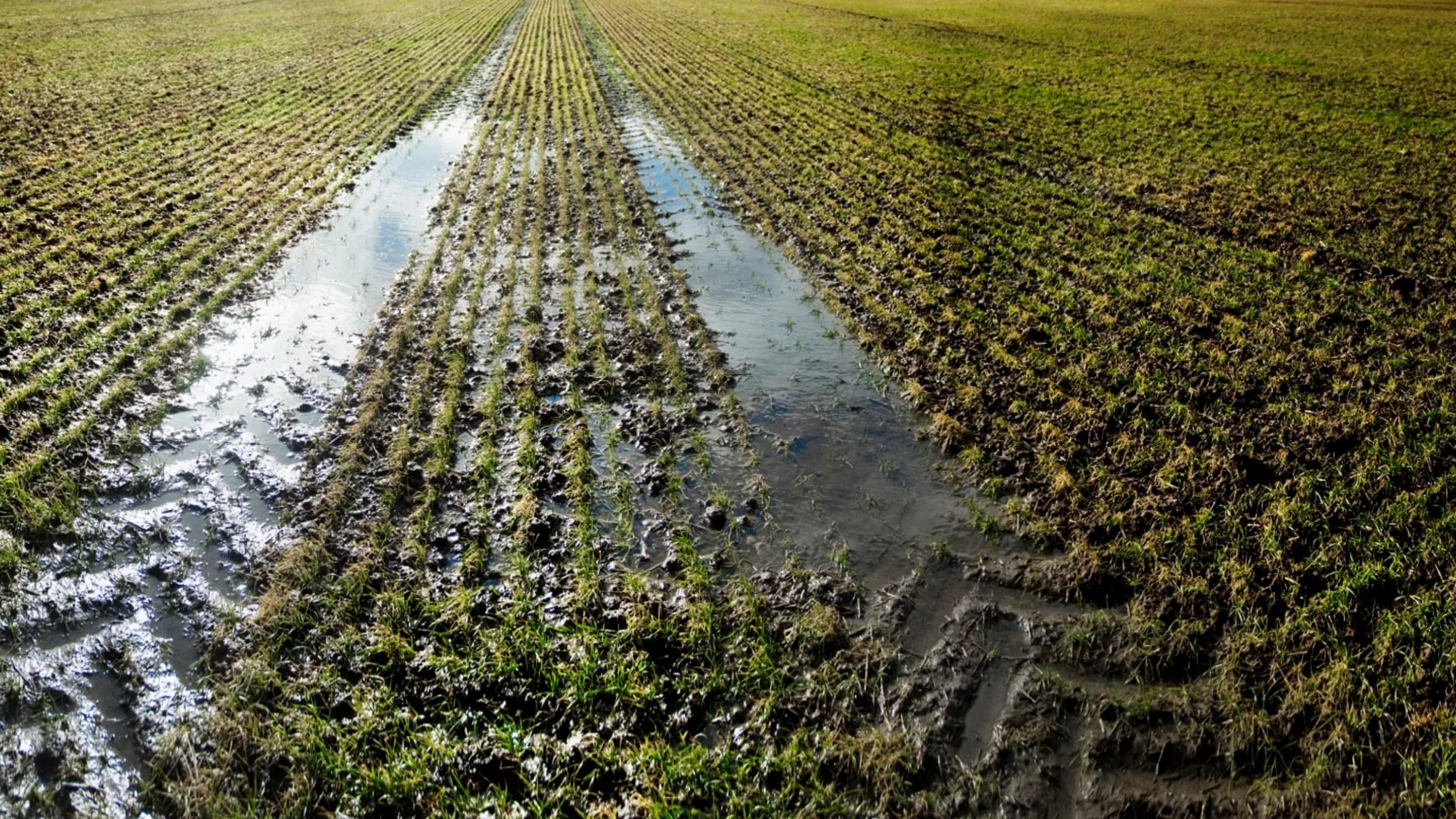 The_Keys_To_Protecting_Water_Quality_Article_Header.jpg